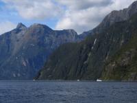 Albums/20060200-New Zealand 2006/20060211-Milford Sound/49